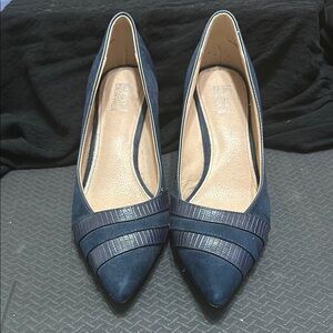 Navy Blue Heels with Pointed Toe and Slim Heel